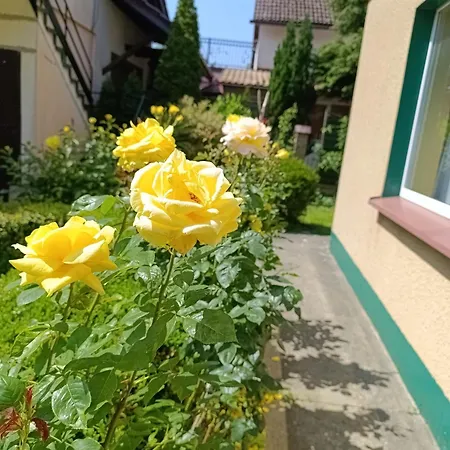 Mietowa Przystan ミエルノ