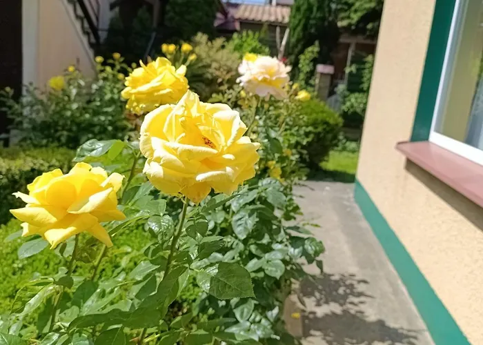 Mietowa Przystan Mielno (Koszalin)